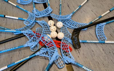 Stadtschüler trainieren mit EC Bad Nauheim