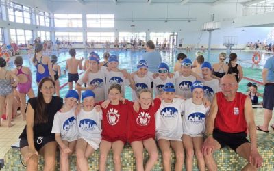 Der Schwimmwettkampf